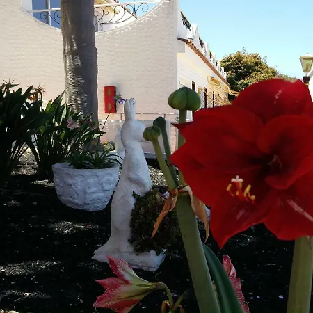 Daire Luminous In Quiet Area *